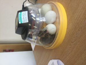 91CFAF85-A92E-49AE-AB8A-3A85B86C32A3