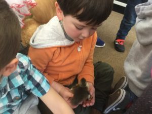 E0E4E922-B776-40A3-B3D4-3B95E1C274F6