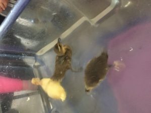 E7D85158-B2EA-4B1C-82DB-0181AE5C759D