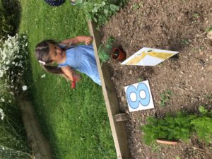 1007AED5-D16B-4A50-AF0A-8B9CA4717BED