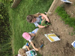 2C052741-432A-42A1-9826-A25BCA23CED5