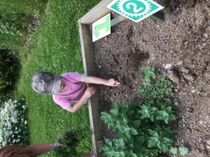 86989C10-4D77-42C7-A5A8-EE365C7C38DB