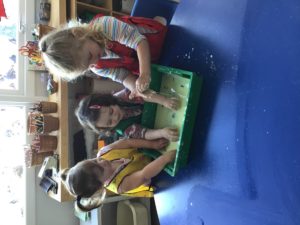 71D177D0-3F3E-4CFE-880F-B67698113E0C