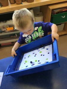 F50ABA00-DB45-423A-8C8D-888286AAE2C0