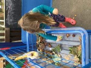 0C1DB5EA-8453-4726-8073-1485CF20AE62