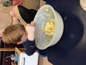 25E70E01-5E08-478F-BD91-5688619FA9C1