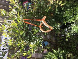 8D4C8FD2-4A4B-4390-9C1B-246167D255EC