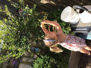 A0182614-FB70-49F2-A7E7-6FA079240147