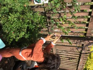 FB6ED735-18B7-45D7-9A58-E34663A44CD9