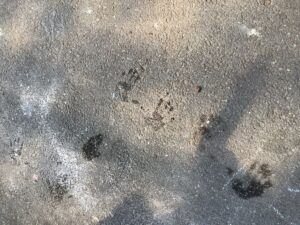 9BA560F5-8D52-4092-85E1-ACF81F7FA682